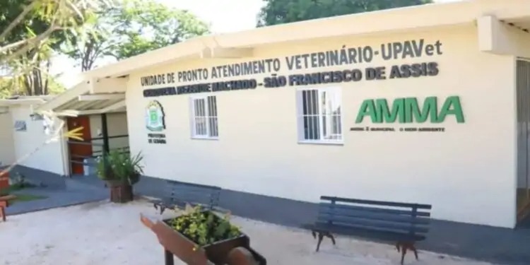 Logo do Comunicativo Leste - Guia comercial impresso e online da Região Leste